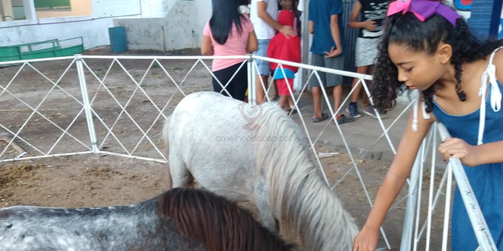 São Luís com Crianças: Um Roteiro Divertido e Educativo pela Cidade