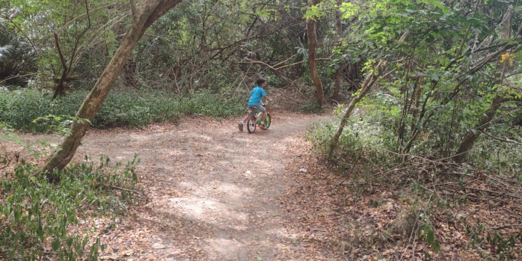 São Luís com Crianças: Um Roteiro Divertido e Educativo pela Cidade