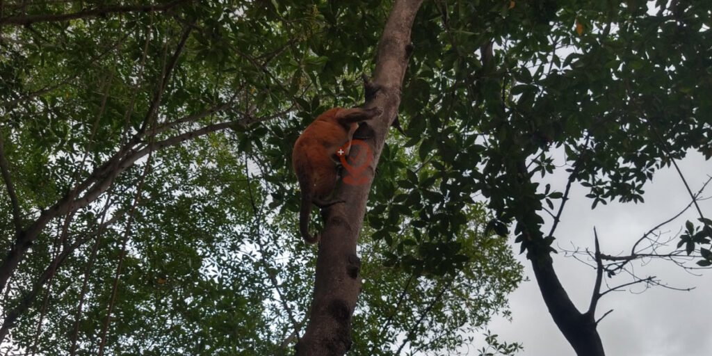 Guia Completo sobre praias e natureza: aqui você encontra o paraíso!