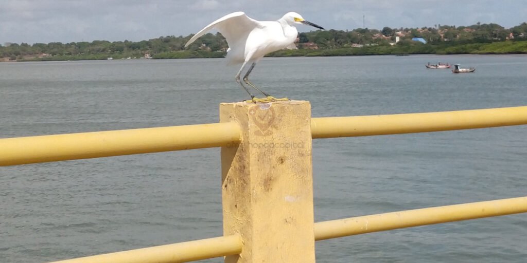 Passeios Ecológicos e Aventuras na Ilha: Descubra as Belezas Naturais de São Luís e Redondezas